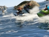 gta5_176