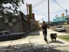 20130916153221-rsg_gtav_screenshot_362
